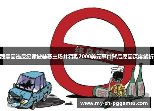 魏震因违反纪律被禁赛三场并罚款2000美元事件背后原因深度解析